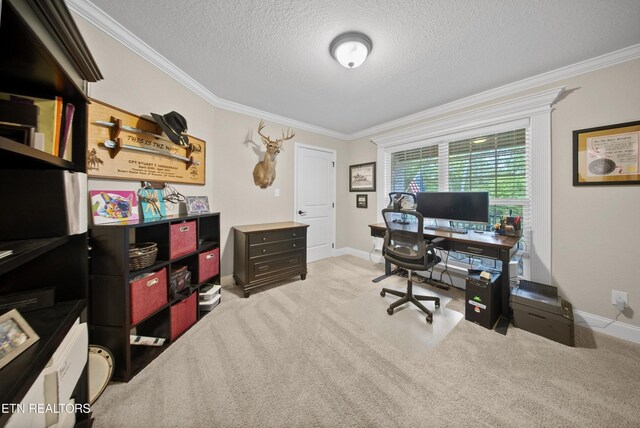 3112 Sagegrass Dr, Louisville, TN 37777 - photo 21