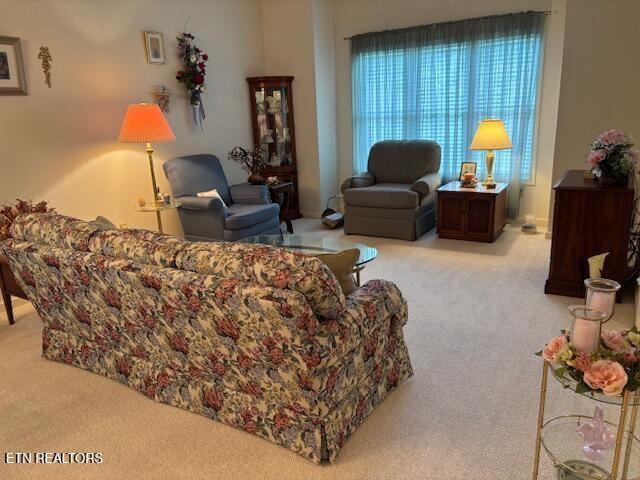 141 Forest Hill Dr, Crossville, TN 38558 - photo 2