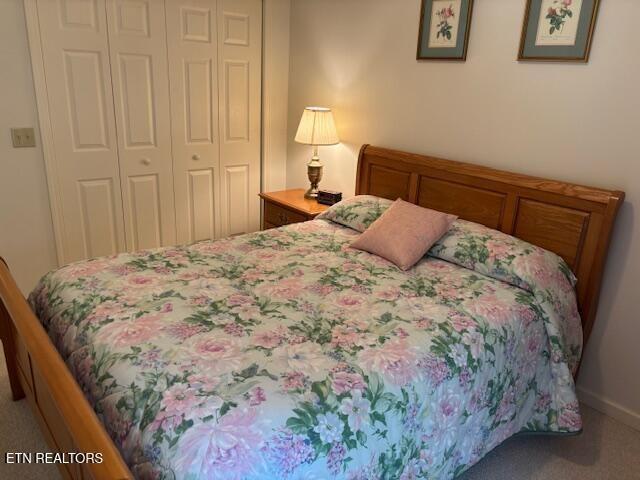 141 Forest Hill Dr, Crossville, TN 38558 - photo 13