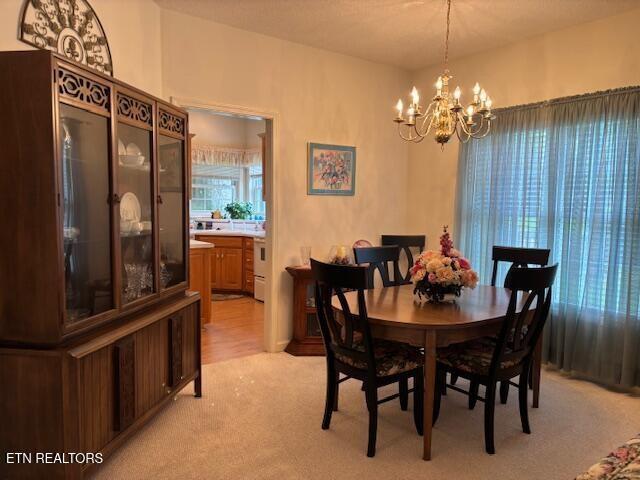 141 Forest Hill Dr, Crossville, TN 38558 - photo 5