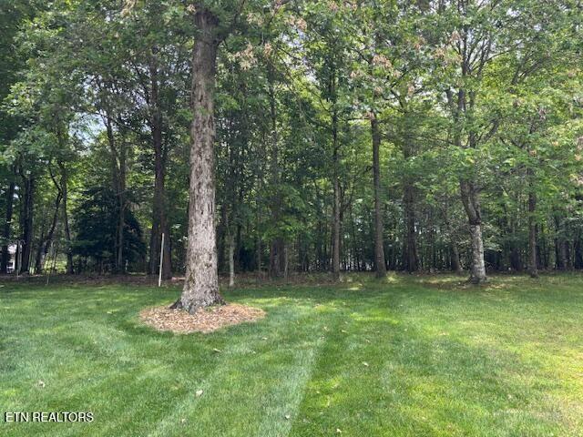 141 Forest Hill Dr, Crossville, TN 38558 - photo 19