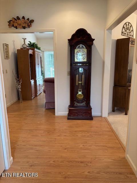 141 Forest Hill Dr, Crossville, TN 38558 - photo 23