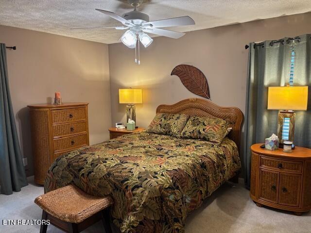 247 Valley Ln, Crossville, TN 38555 - photo 26