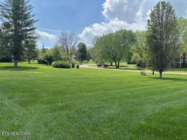 247 Valley Ln, Crossville, TN 38555 - photo 4