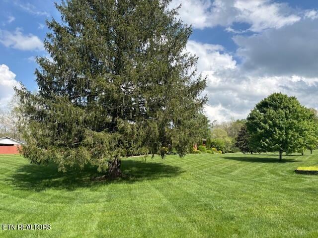 247 Valley Ln, Crossville, TN 38555 - photo 7