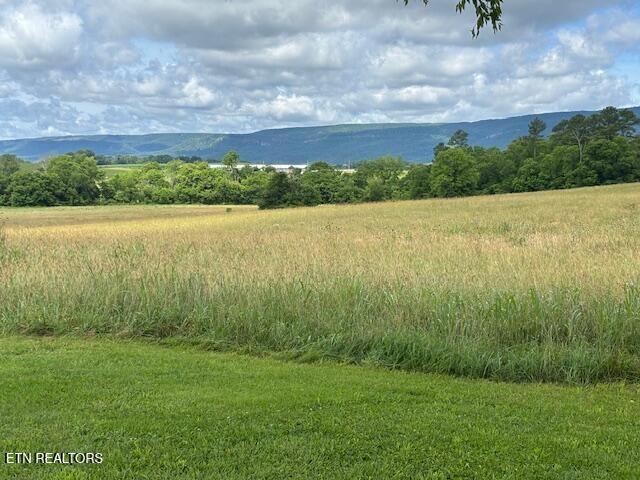 2091 Wesley Chapel Rd, Pikeville, TN 37367 - view of mountain background