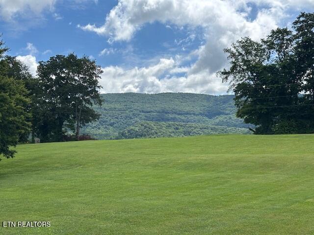 2091 Wesley Chapel Rd, Pikeville, TN 37367 - mountain view