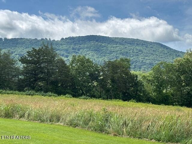 2091 Wesley Chapel Rd, Pikeville, TN 37367 - view of mountain backdrop with a heavily wooded area