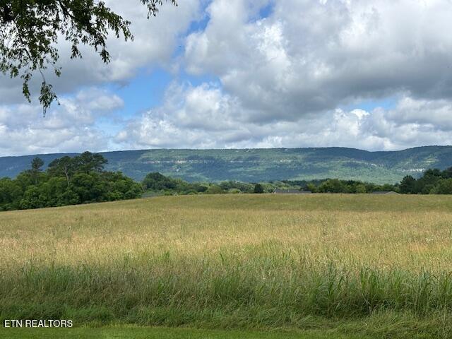 2091 Wesley Chapel Rd, Pikeville, TN 37367 - view of mountain background with rural landscape