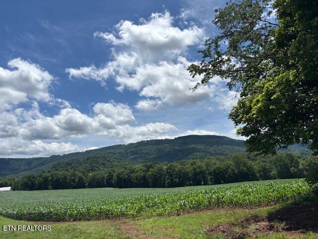 2091 Wesley Chapel Rd, Pikeville, TN 37367 - view of mountain backdrop with rural landscape and rows of crops