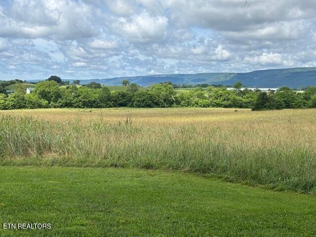 2091 Wesley Chapel Rd, Pikeville, TN 37367 - view of mountain background