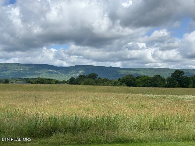 2091 Wesley Chapel Rd, Pikeville, TN 37367 - view of mountain backdrop with rural landscape