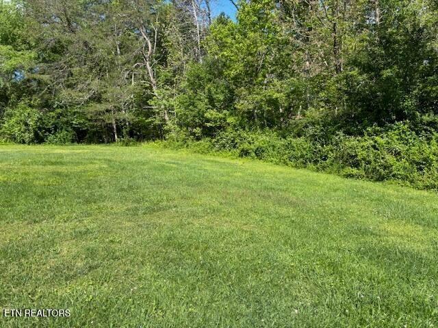 337 Bellview Rd, Pikeville, TN 37367 - view of yard