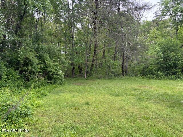 337 Bellview Rd, Pikeville, TN 37367 - view of yard featuring a wooded view