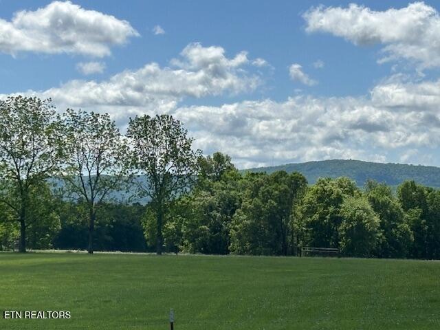 1343 Highland Ln, Crossville, TN 38555 - photo 4