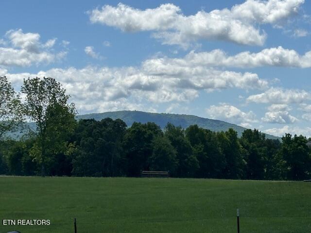 1343 Highland Ln, Crossville, TN 38555 - photo 3