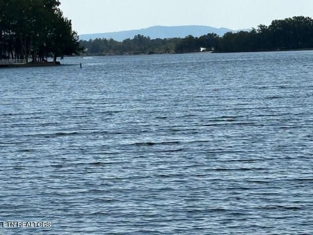 8551 Cherokee Trl, Crossville, TN 38572 - photo 5