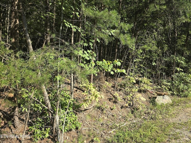 29 Byron Ln, Crossville, TN 38558 - photo 5
