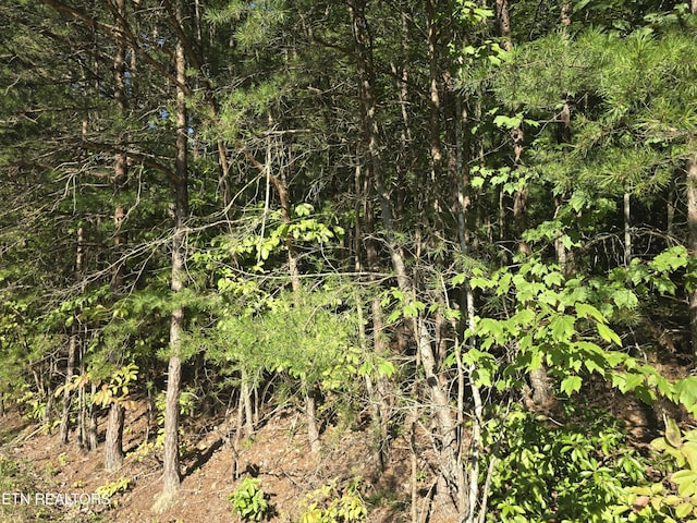 29 Byron Ln, Crossville, TN 38558 - photo 2