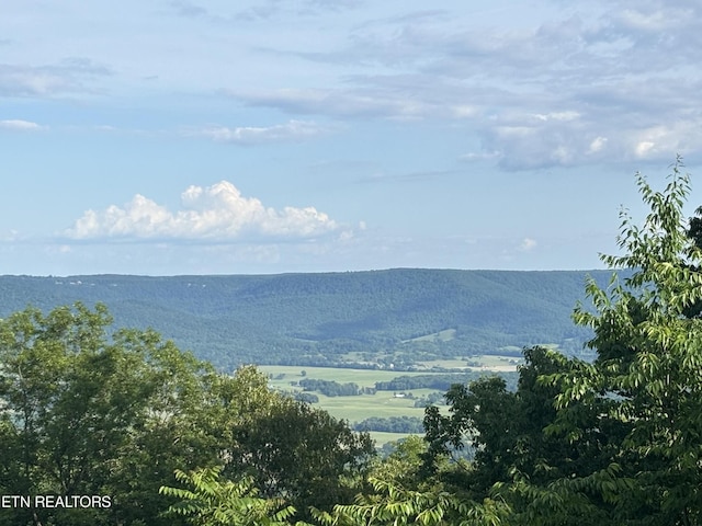 1355 Gray Rock Vw, Pikeville, TN 37367