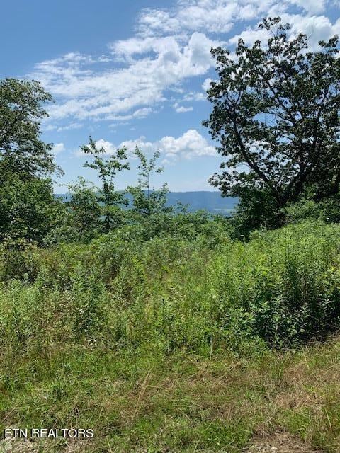 1355 Gray Rock Vw, Pikeville, TN 37367