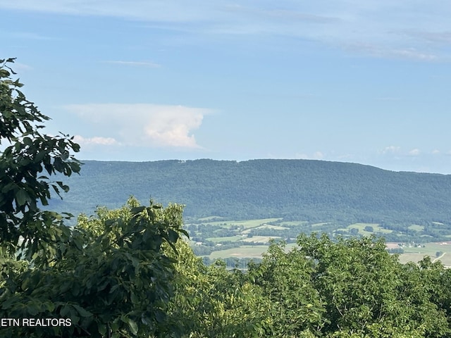 1355 Gray Rock Vw, Pikeville, TN 37367