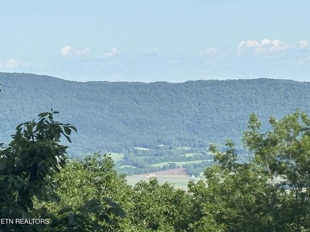 1355 Gray Rock Vw, Pikeville, TN 37367