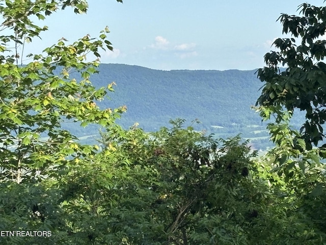 1355 Gray Rock Vw, Pikeville, TN 37367