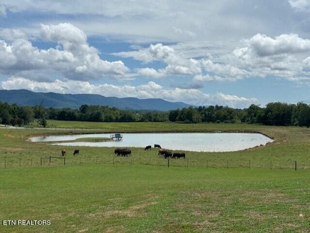 233 Nine Mile Cross Rd, Pikeville, TN 37367 - view of property's community with a water and mountain view, a yard, and a view of rural / pastoral area
