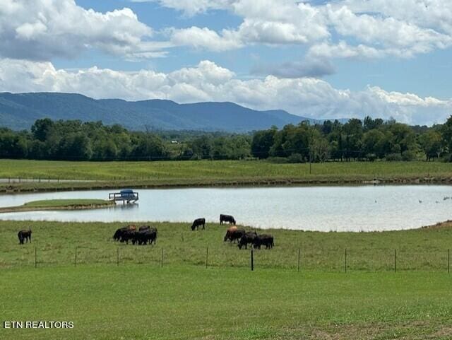 233 Nine Mile Cross Rd, Pikeville, TN 37367 - water view with rural landscape and mountains