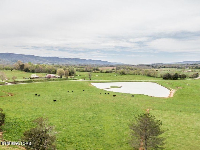 233 Nine Mile Cross Rd, Pikeville, TN 37367 - mountain view featuring rural landscape