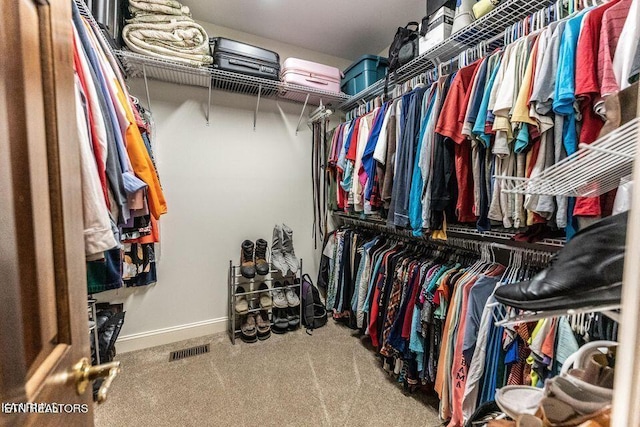 233 Nine Mile Cross Rd, Pikeville, TN 37367 - spacious closet featuring carpet