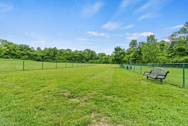 2285 Maytown Cir, Thompsons Station, TN 37179 - photo 56