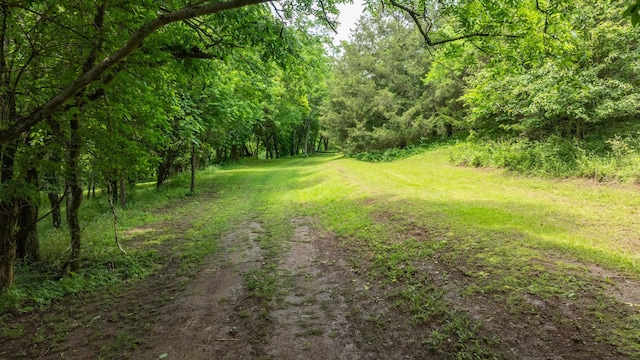 0 Guy Ferrell Rd, Franklin, TN 37064 - photo 31
