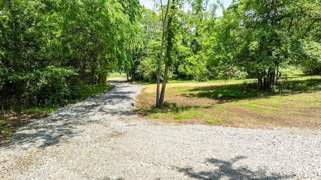 0 Guy Ferrell Rd, Franklin, TN 37064 - photo 36