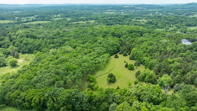 0 Guy Ferrell Rd, Franklin, TN 37064 - photo 21