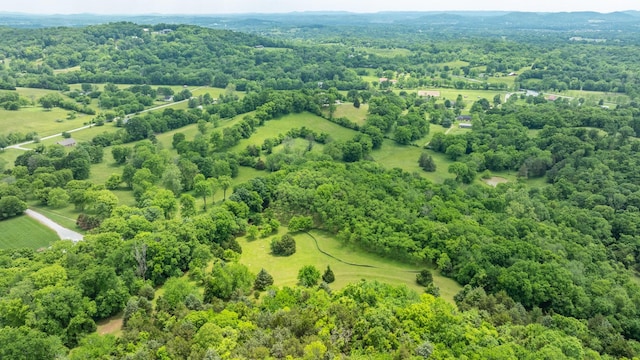 0 Guy Ferrell Rd, Franklin, TN 37064 - photo 17