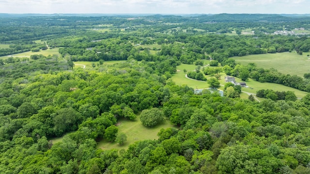 0 Guy Ferrell Rd, Franklin, TN 37064 - photo 1