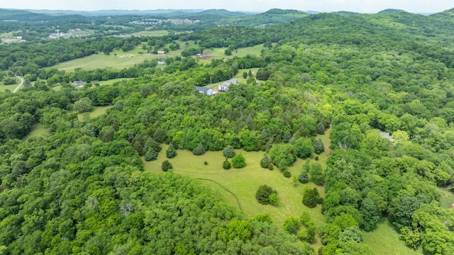 0 Guy Ferrell Rd, Franklin, TN 37064 - photo 22