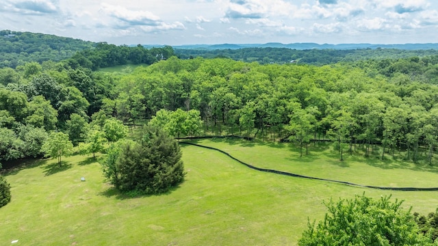 0 Guy Ferrell Rd, Franklin, TN 37064 - photo 29