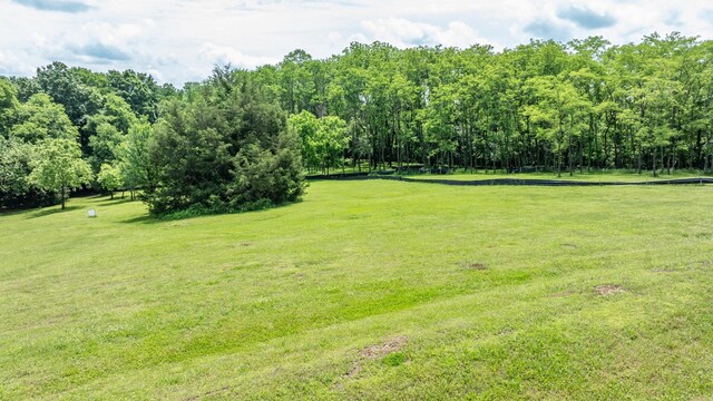0 Guy Ferrell Rd, Franklin, TN 37064 - photo 30