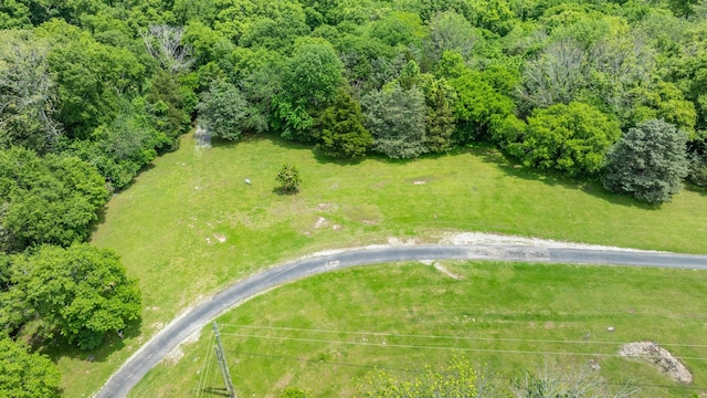 0 Guy Ferrell Rd, Franklin, TN 37064 - photo 25