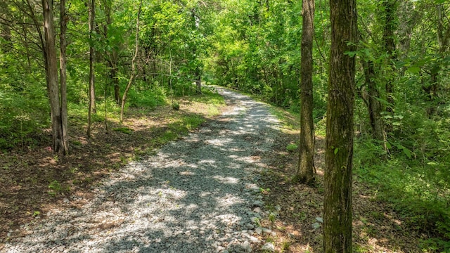 0 Guy Ferrell Rd, Franklin, TN 37064 - photo 26