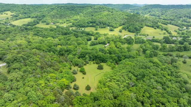 0 Guy Ferrell Rd, Franklin, TN 37064 - photo 18