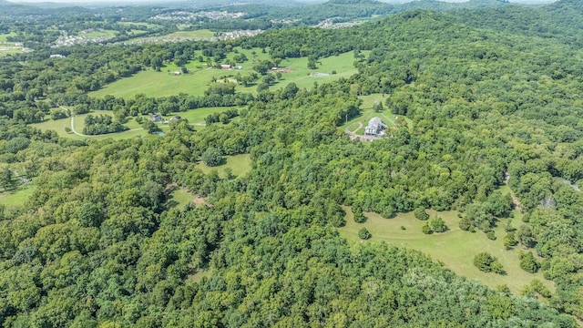 0 Guy Ferrell Rd, Franklin, TN 37064 - photo 11