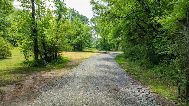 0 Guy Ferrell Rd, Franklin, TN 37064 - photo 37