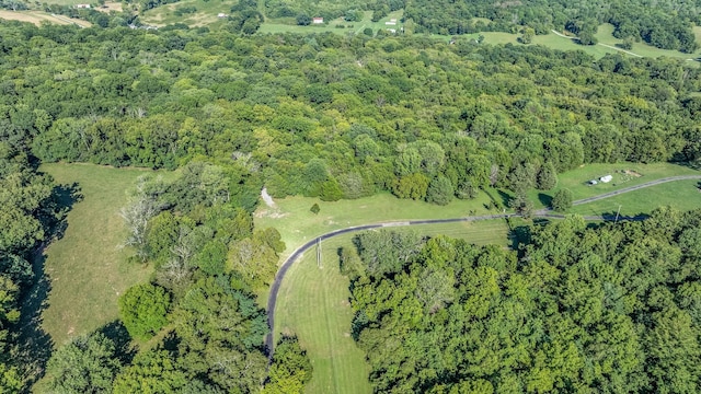 0 Guy Ferrell Rd, Franklin, TN 37064 - photo 6