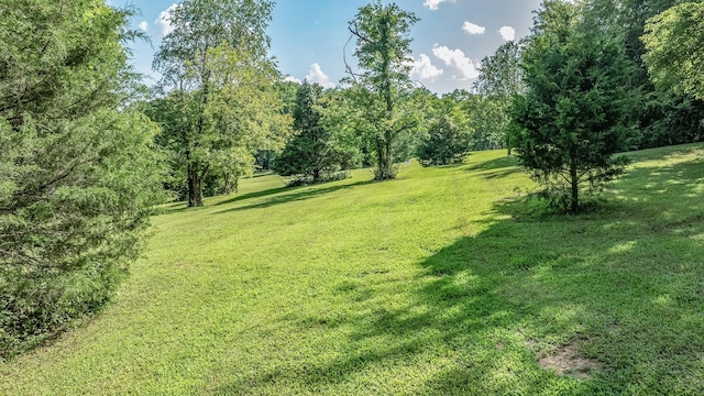0 Guy Ferrell Rd, Franklin, TN 37064 - photo 12
