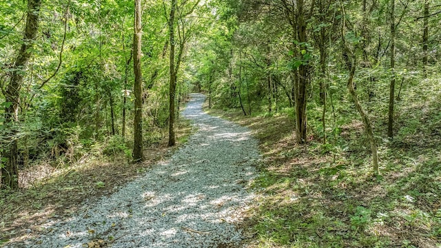 0 Guy Ferrell Rd, Franklin, TN 37064 - photo 8