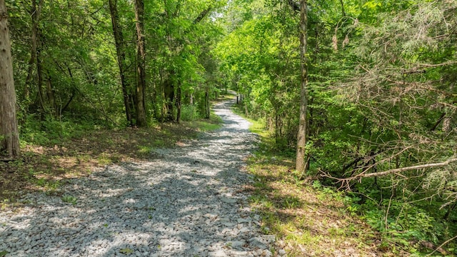 0 Guy Ferrell Rd, Franklin, TN 37064 - photo 27
